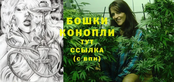 ГАЛЛЮЦИНОГЕННЫЕ ГРИБЫ Балабаново