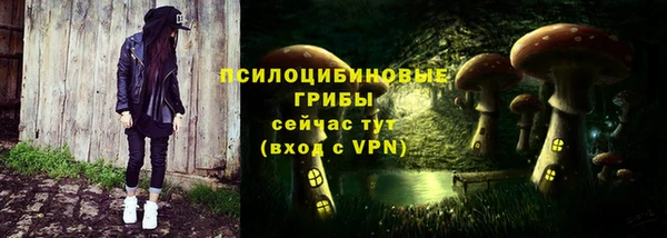 2c-b Белокуриха